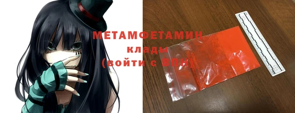 прущие грибы Сафоново
