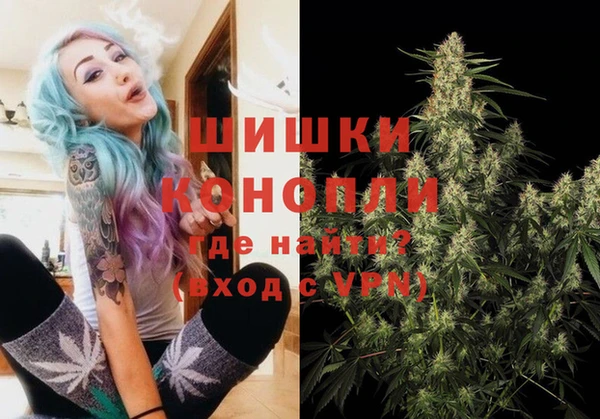 твердый Абаза
