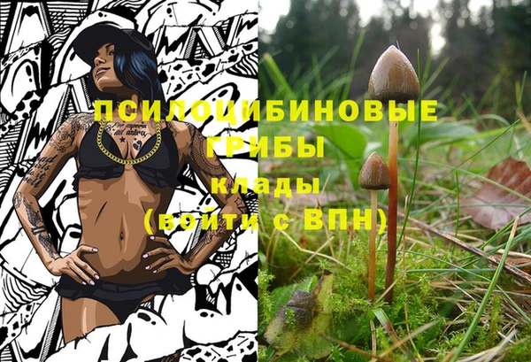 бошки Абинск
