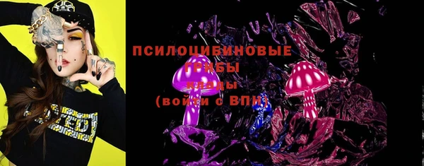 прущие грибы Сафоново